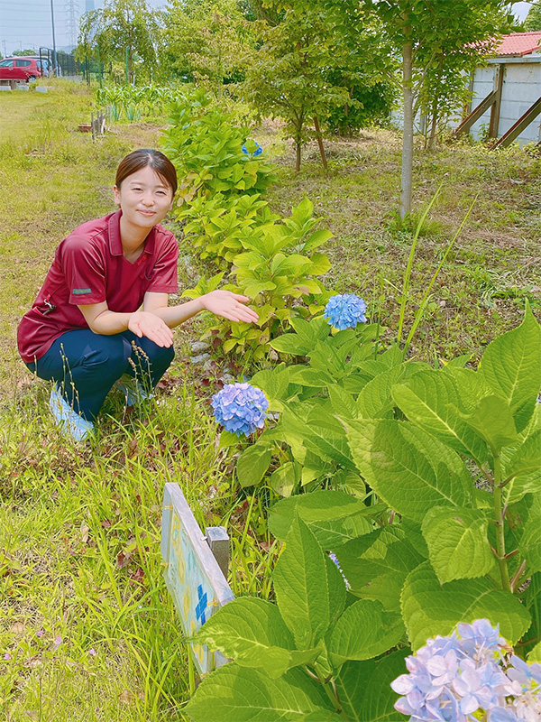 院庭写真①